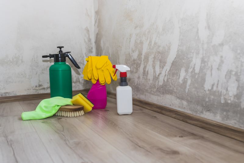 Air Duct Mold Removal in Frisco, TX