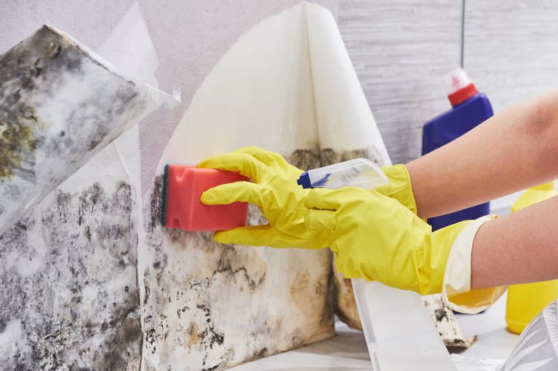Attic Mold Removal in Essex County, NJ