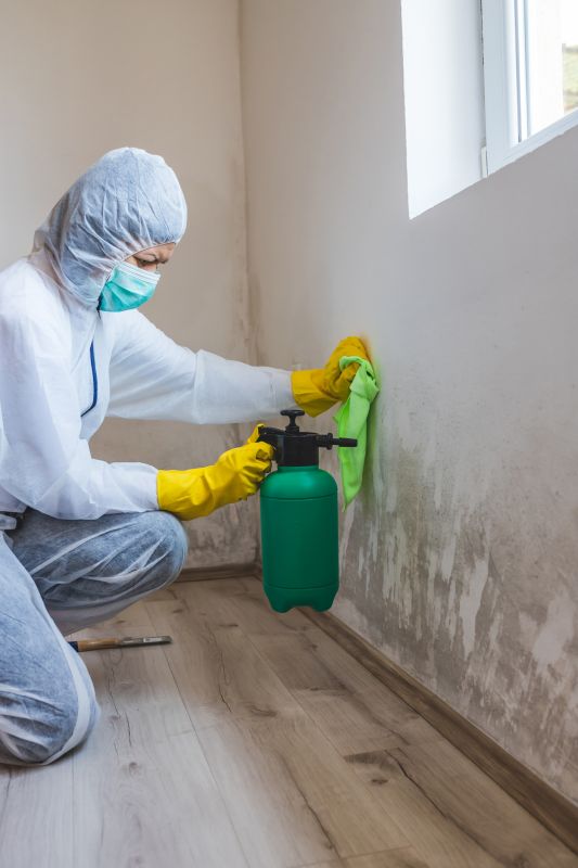 Attic Mold Removal in Broward County, FL