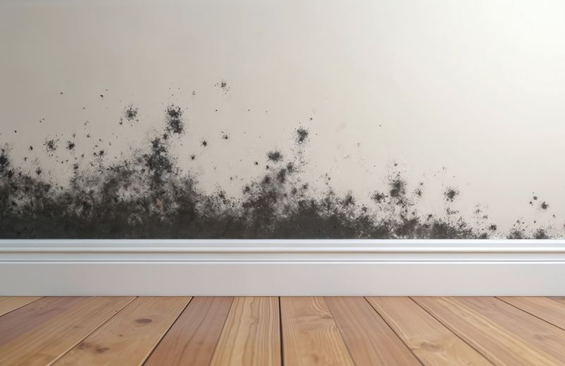 Basement Mold Remediation in Boca Raton, FL