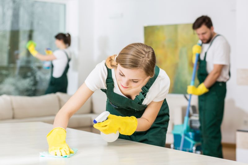 Hardwood Floor Cleaning Service in Renton, WA