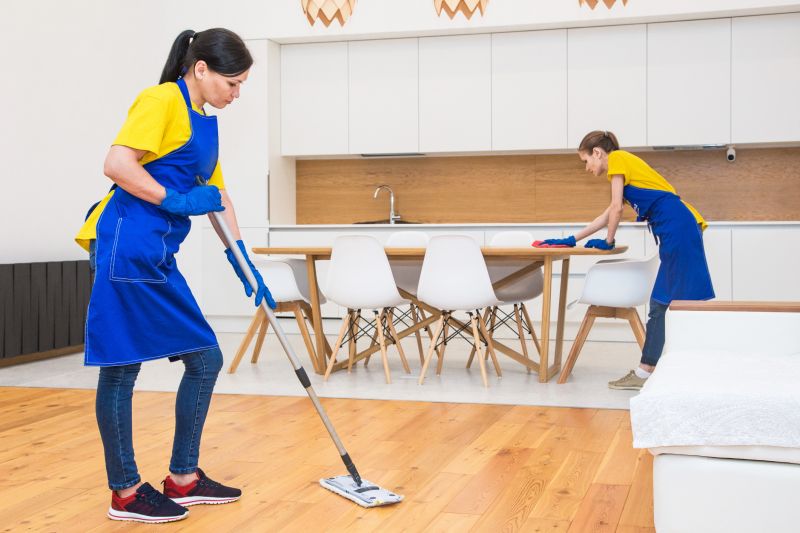 Kitchen Cleaning in Renton, WA