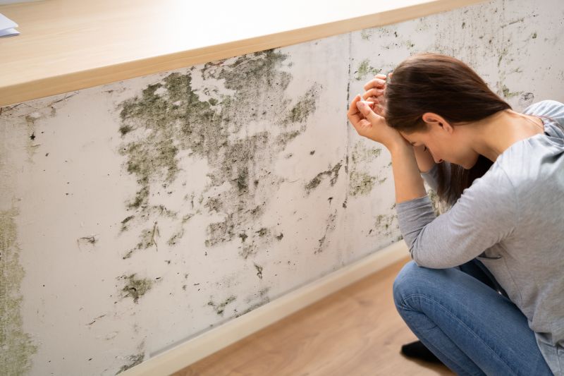 Mold Abatement in Denton, TX