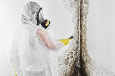 Mold Abatement in Delray Beach, FL