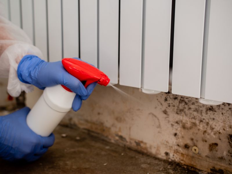 Mold Cleanup Service in Essex County, NJ