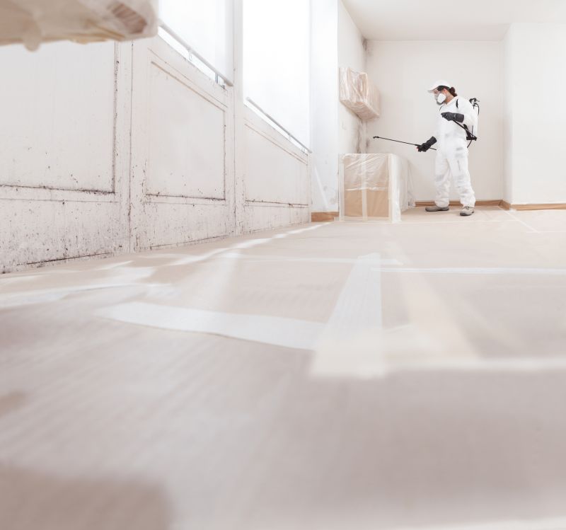 Mold Cleanup Service in Bergen County, NJ