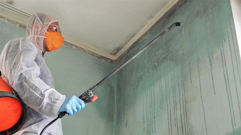 Air Duct Mold Removal in Dallas, TX