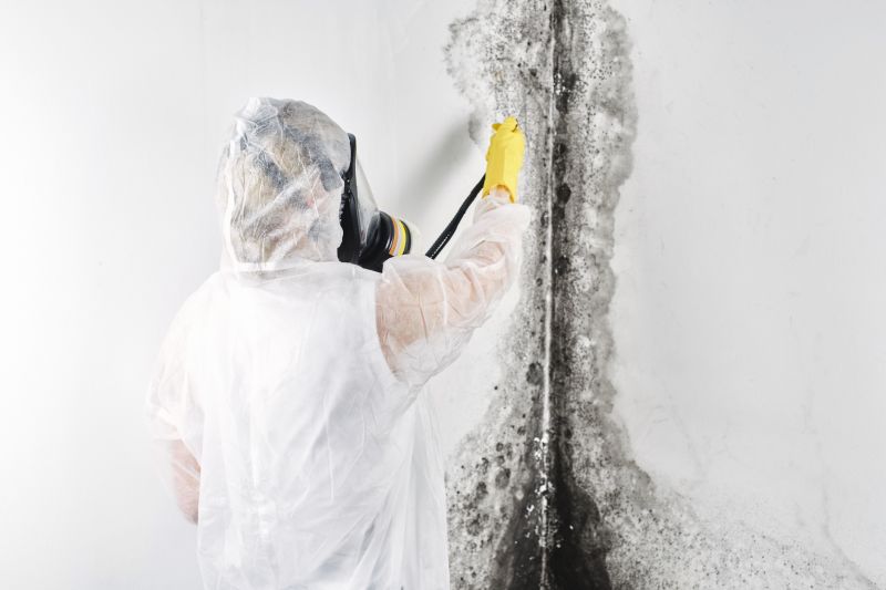 Attic Mold Removal in Broward County, FL