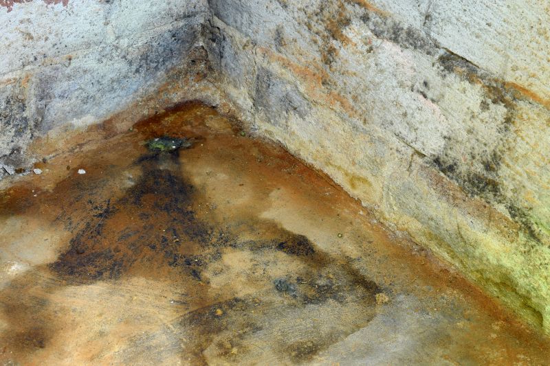 Basement Mold Remediation in Jupiter, FL