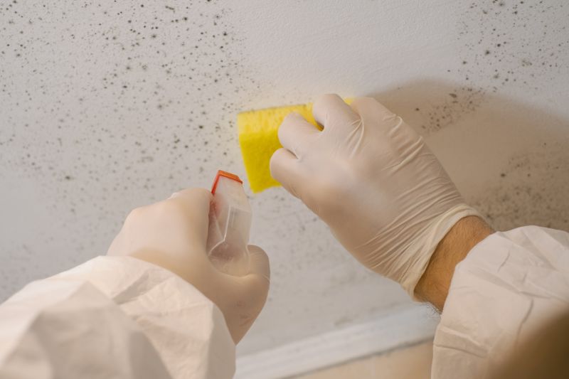 Crawlspace Mold Remediation in Jupiter, FL