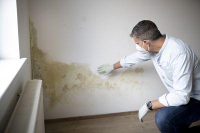 Mold Abatement Service in Broward County, FL