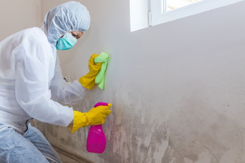 Mold Mitigation Service in Jupiter, FL