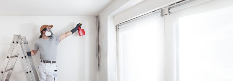 Mold Treatment Service in Essex County, NJ